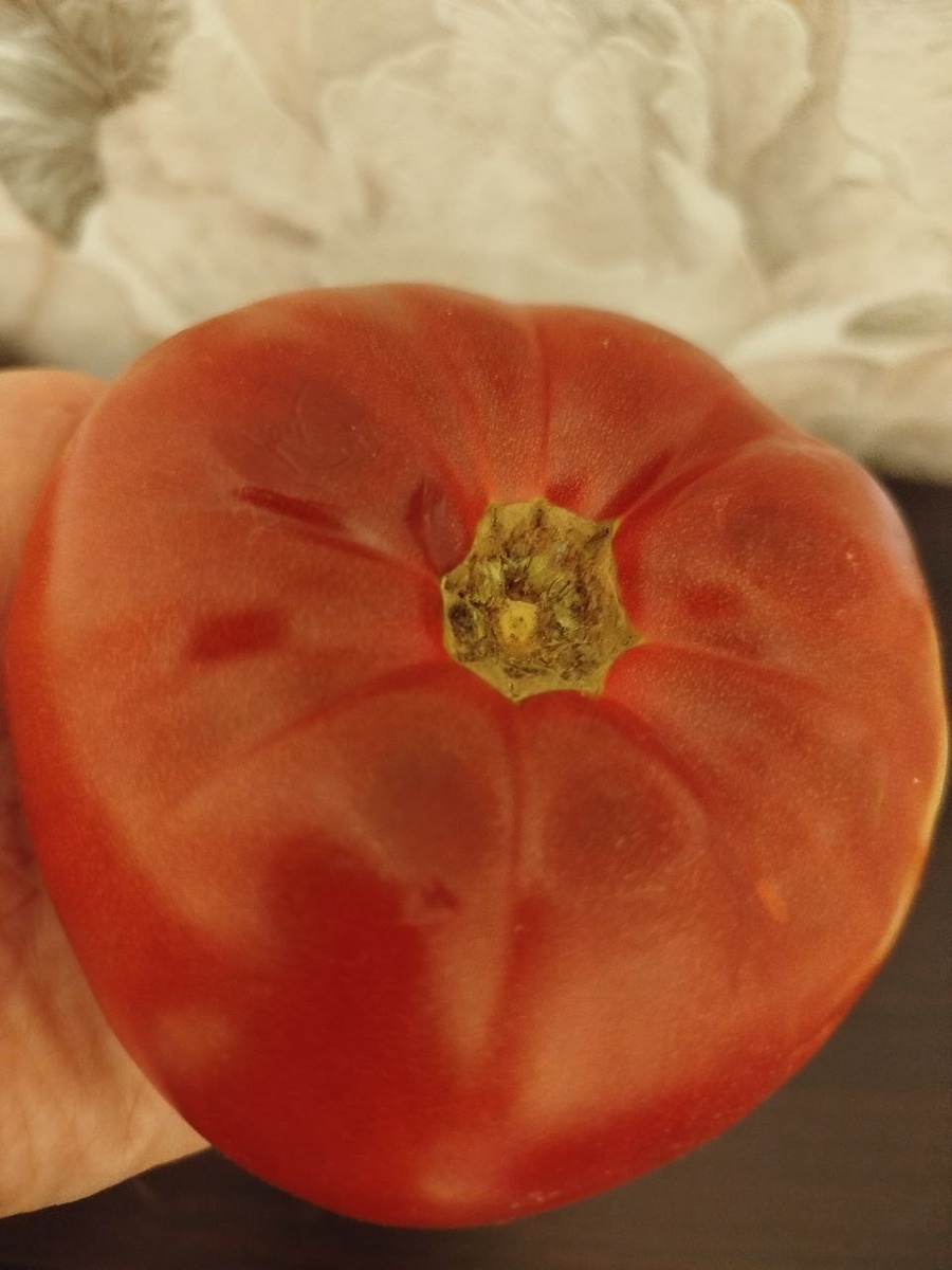 Фото автора. Биф-томат " Чёрная королева".