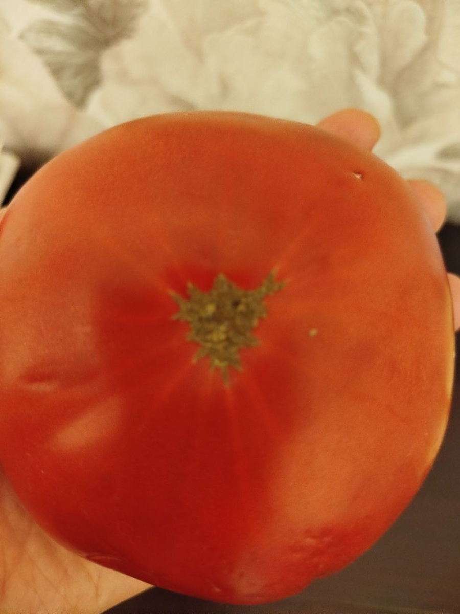 Фото автора. Листайте вправо.