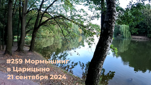 #259 Мормышинг в Царицыно 20 сентября 2024