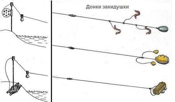 Фото с сайта: https://i.pinimg.com/736x/36/5c/09/365c09cc07bf4bd1a734bde11ecf008a.jpg