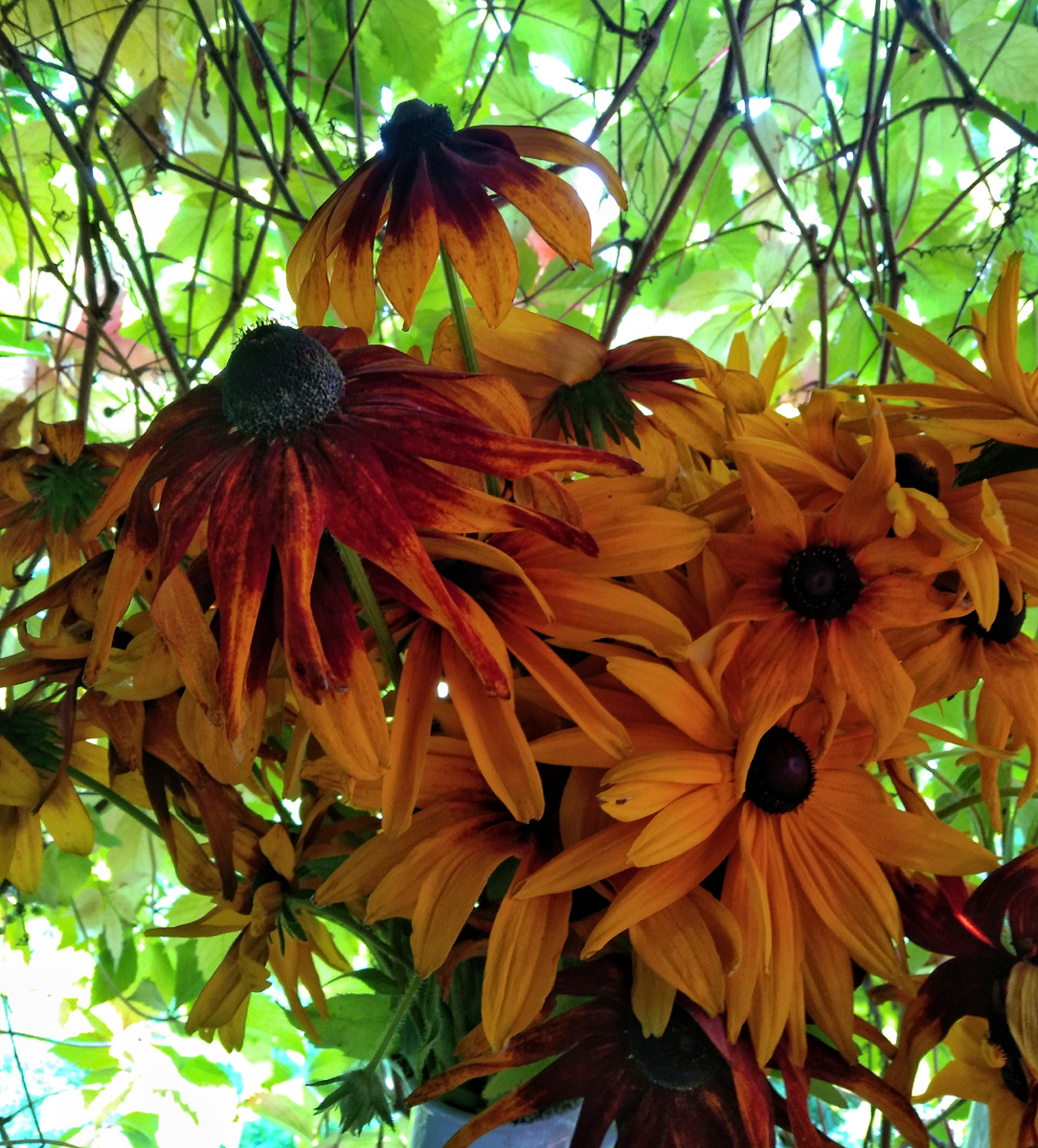 Огненный букет!