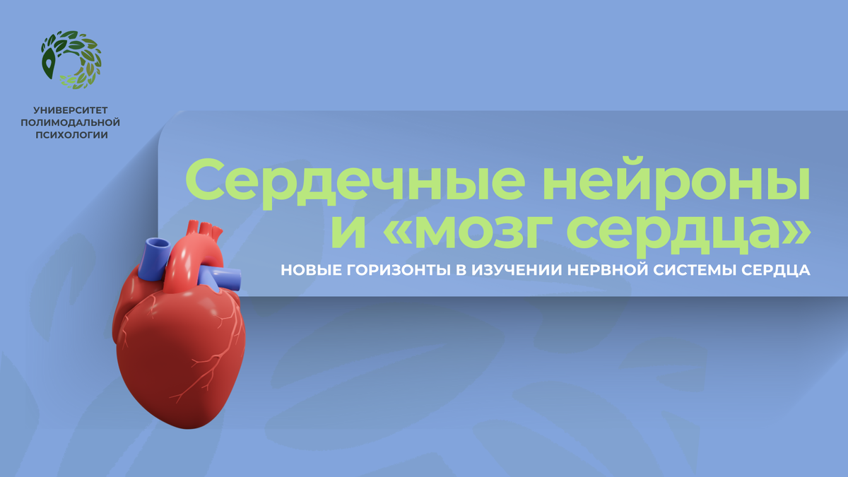 роны сердца