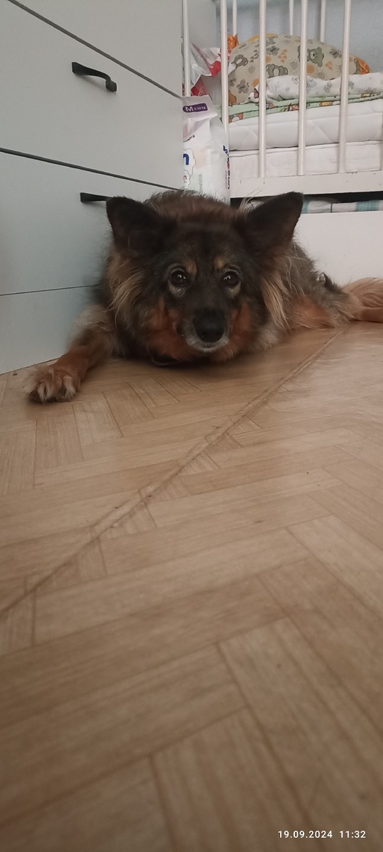 А это уже позрослевшая Дашка