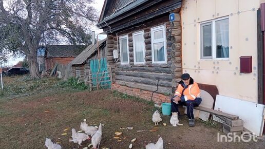 Жизнь в деревне.Делаем разные дела.Новые козлы.