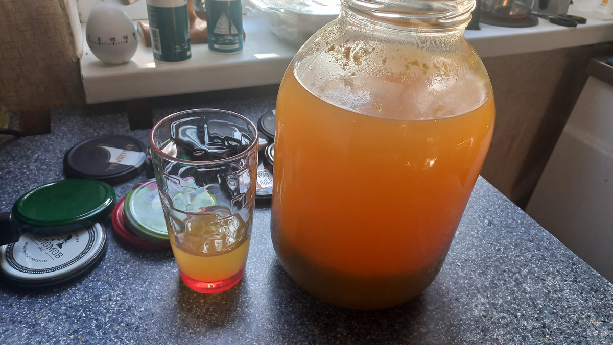 Это и другие фото в статье сделаны автором и принадлежат ему на условиях авторского права