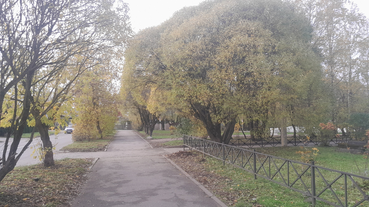 Фото Ирины Одарчук Паули Осень
