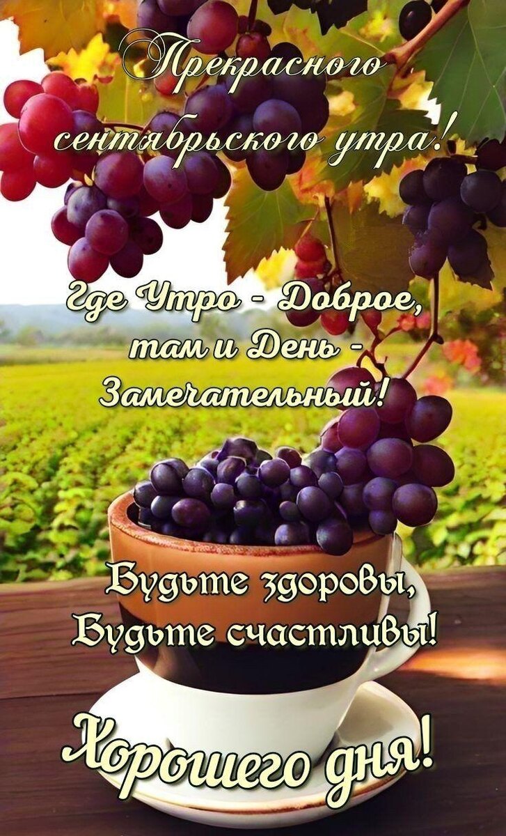 Мне прислали, а я с вами делюсь. 