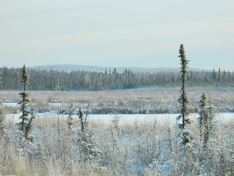 Долина Голдстрим. https://upload.wikimedia.org/wikipedia/commons/3/37/Goldstream_Rd.jpg