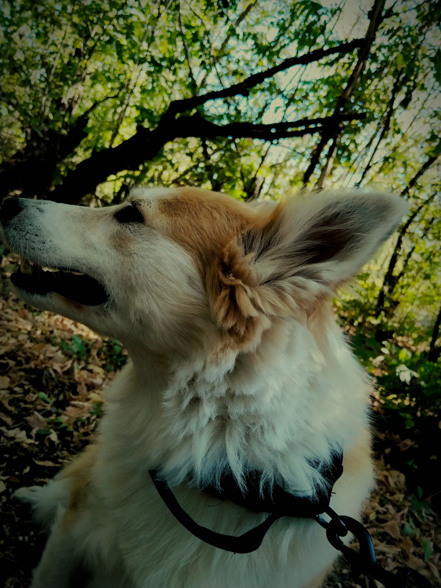 С фотосессии❤️