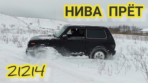 Лада Нива урбан по снегу ГРЕБЕМ ПО СУГРОБАМ ЧТО БЫ ДОЕХАТЬ ДО ПОСЕЛКА. LADA niva Legend НИВА 21214.