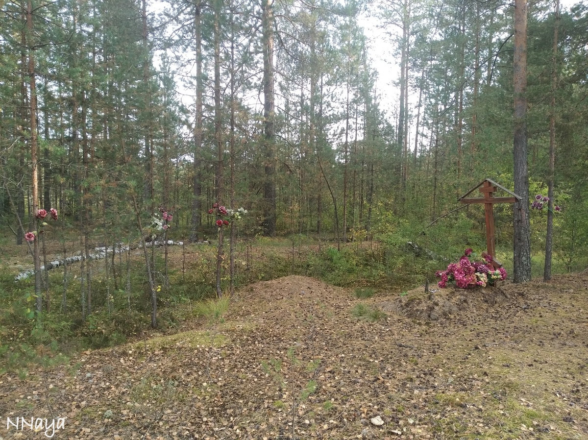 Цветы закреплены на деревьях вокруг захоронения