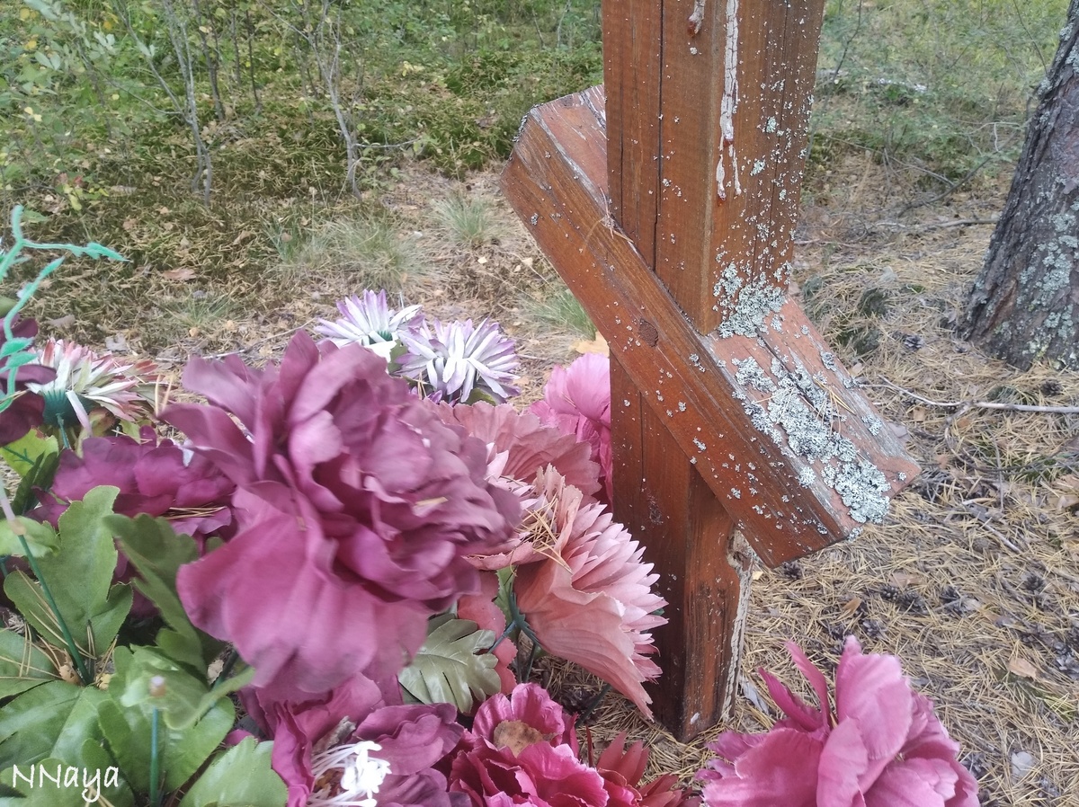 Время и природа берут своё