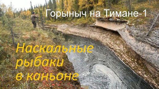 下载视频: Экспедиция на Тиман-1. Уникальная рыбалка в отвес со скал в каньоне. Кто-нибудь ловил так?