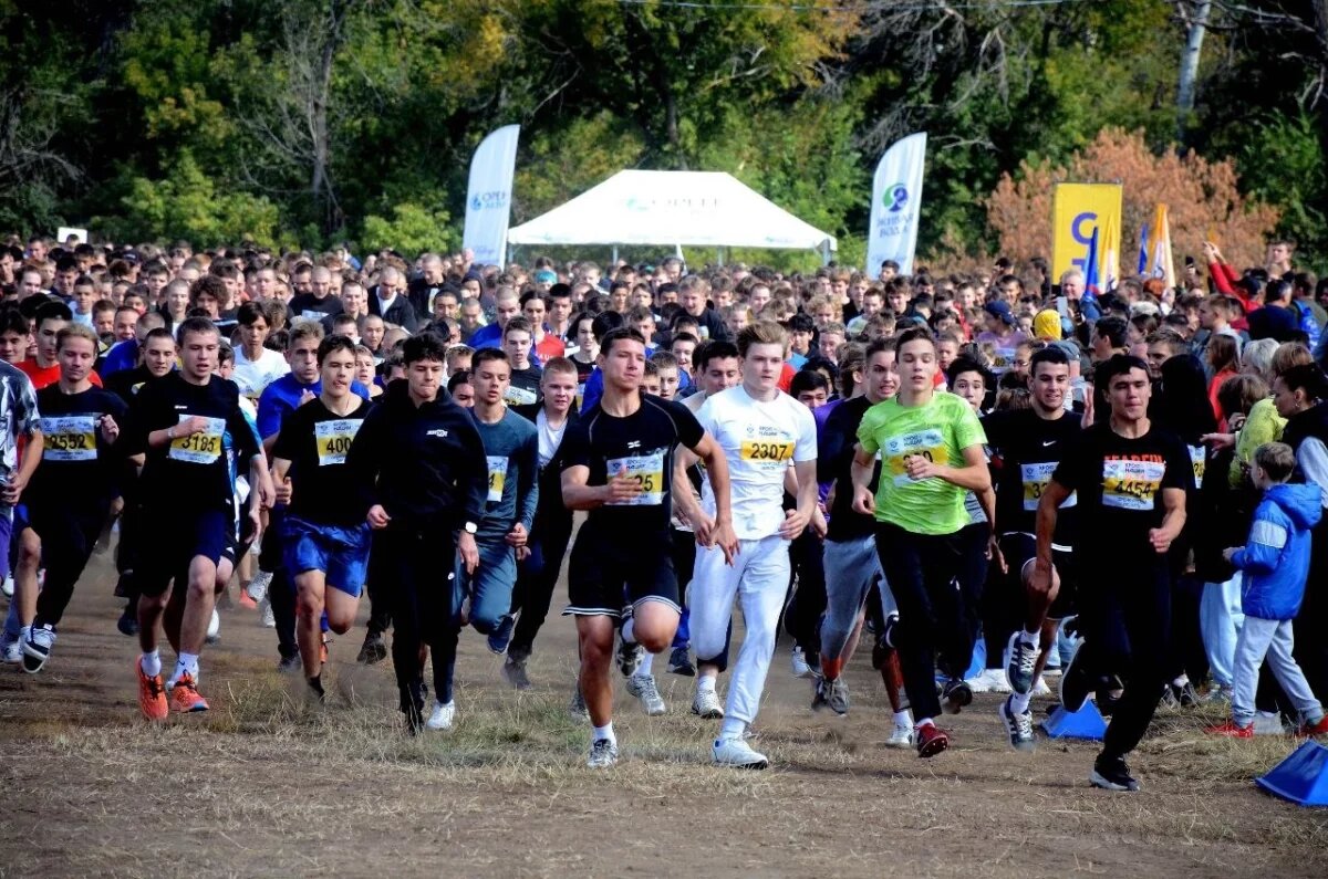    Более 5000 оренбуржцев приняли участие в "Кроссе наций - 2024"