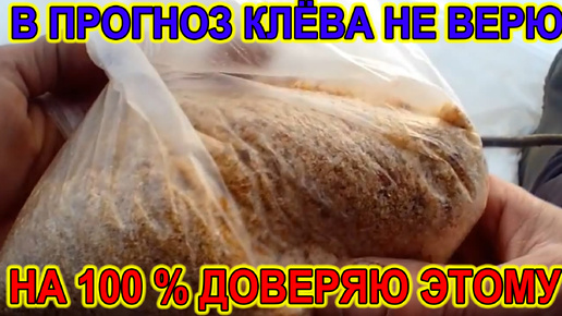 Download Video: В ПРОГНОЗЫ КЛЁВА НЕ ВЕРЮ! ТОЛЬКО ЭТОМУ ДОВЕРЯЮ ВСЕГДА?.