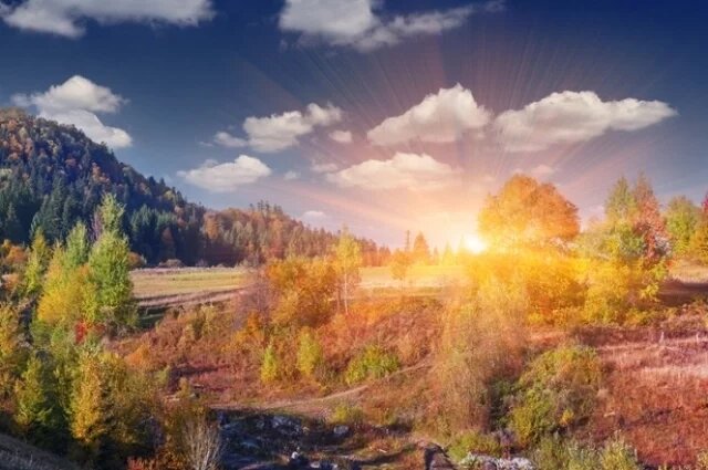    Какой праздник сегодня, 22 сентября 2024 года, и что нельзя делать?