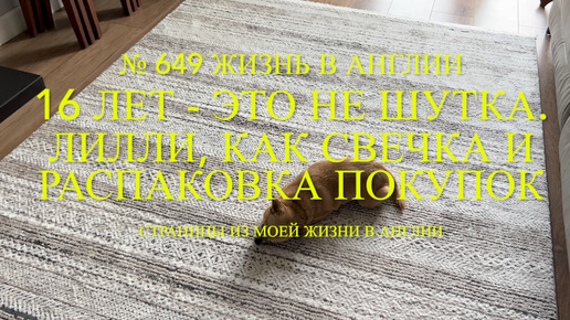 16 лет - это не шутка. Лилли стоит, как свечка. Распаковка покупок. № 649 Жизеь в Англии. .