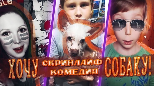 Хочу собаку! Скринлайф комедия