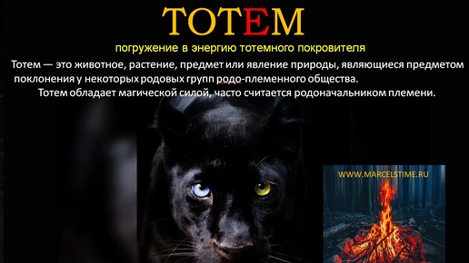 Download Video: ТОТЕМ. Погружение в Энергию Тотемного Покровителя