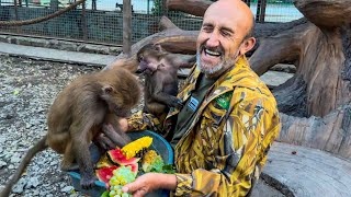 Степка есть кукурузу у меня НА ГОЛОВЕ и помогает снимать Люську!