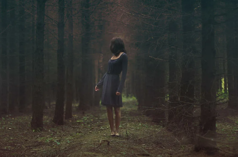 Яндекс картинки