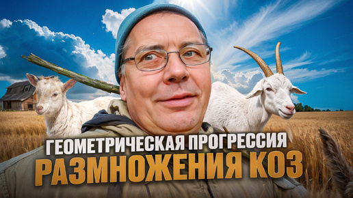 下载视频: Совет бывалого фермера: 🤠 не заводи даже одну козу, 🐐 если не хочешь стадо! 🐐🐐🐐 #МоеПодворье