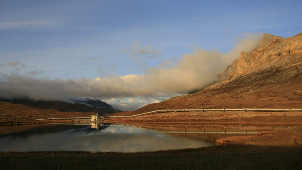    ФОТО: Konstantin Mikhailov/Globallookpress