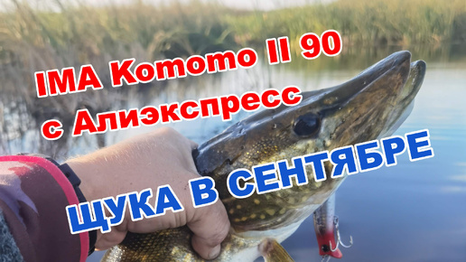 Щуке нравится китайский IMA Komomo II 90. Спиннинг в сентябре