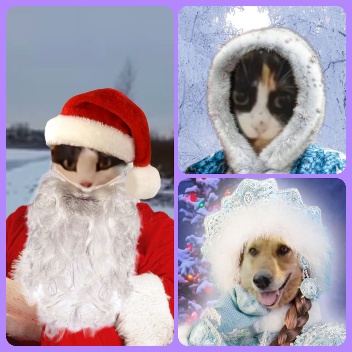 Коллаж автора