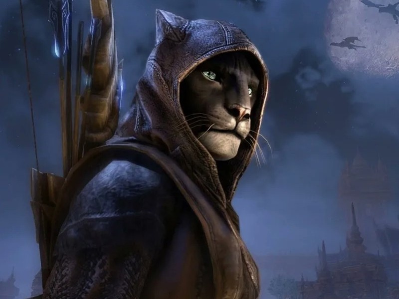    Бывший дизайнер Bethesda считает, что The Elder Scrolls VI не оправдает ожиданий фанатов
