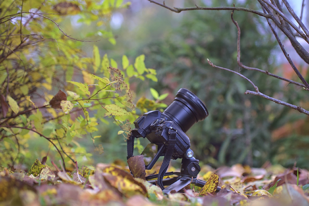 Olympus Stylus 1. Фото автора.