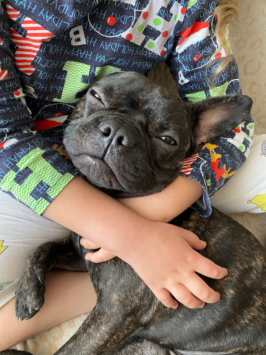 Сладкое утро