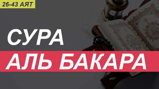 Спокойное чтение Сура БАКАРА (26 -43 аят)