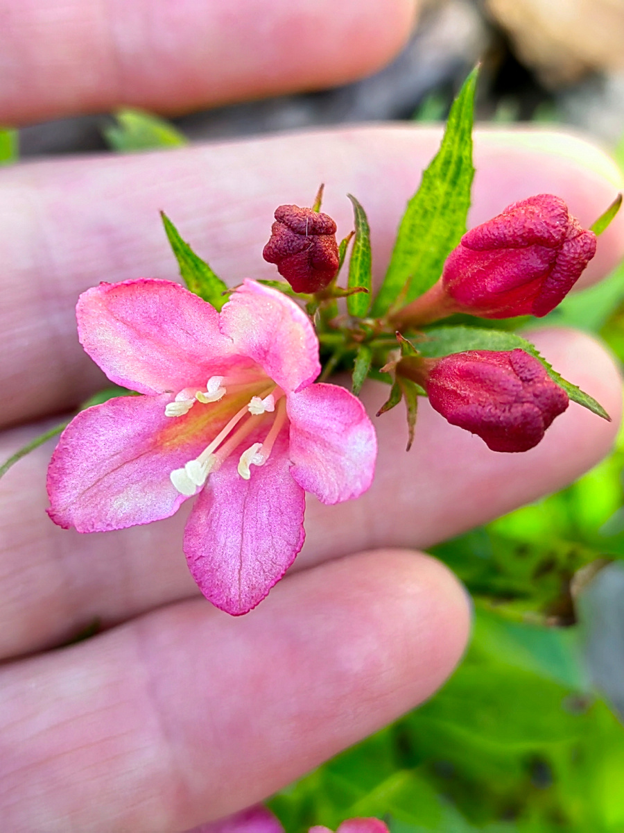 22 сентября 2024.