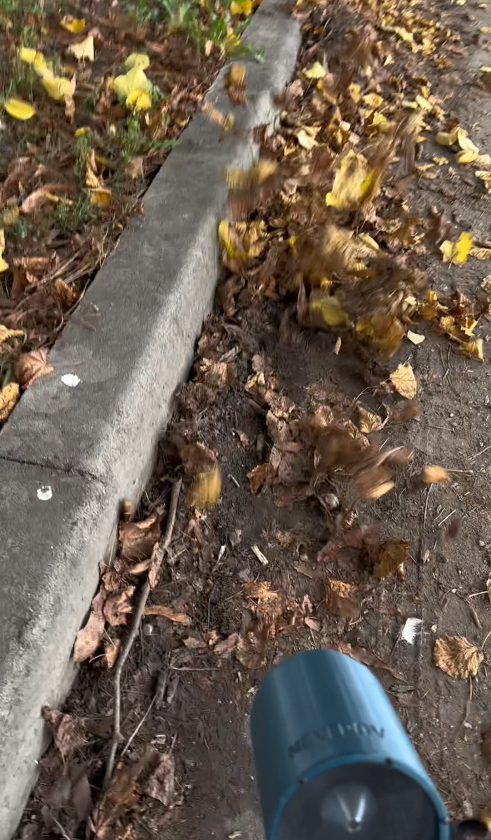 Листья сдувает на рас два