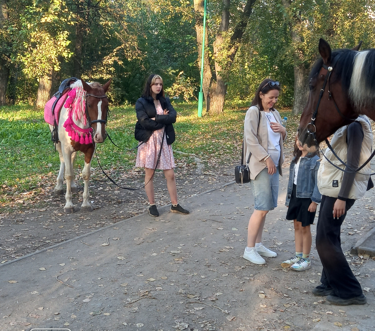 Я ищу сюжеты для видео в парке