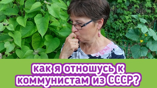 Меня спросили как я отношусь к коммунистам?