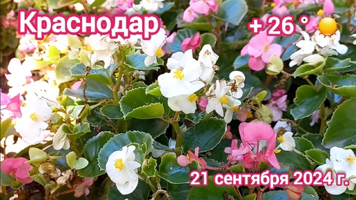 Краснодар - прогулка по центру города - 21 сентября 2024 г.