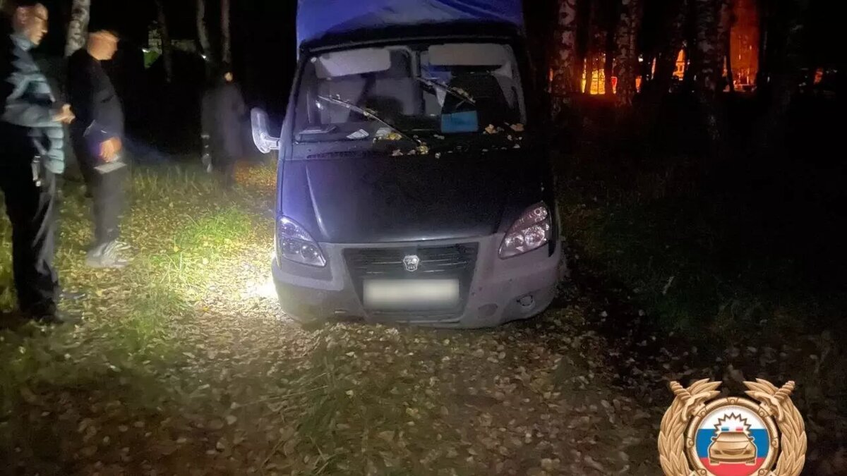     Источник: Владимир Севастьянов / Telegram