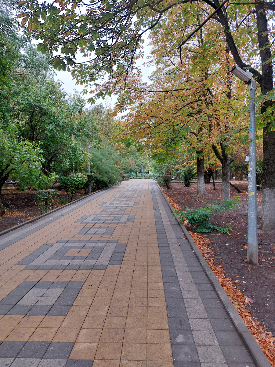 Фото автора парк имени Горького