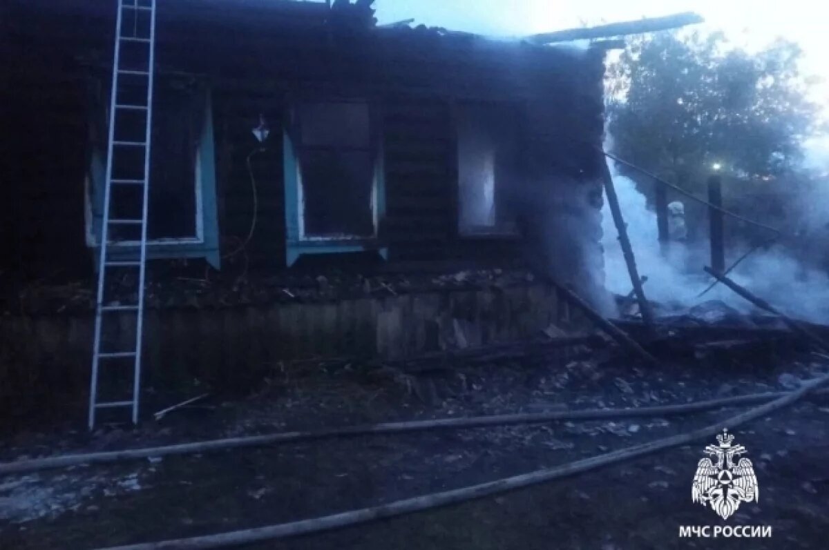    На пожаре в Базарном Сызгане погибли отец и сын-подросток