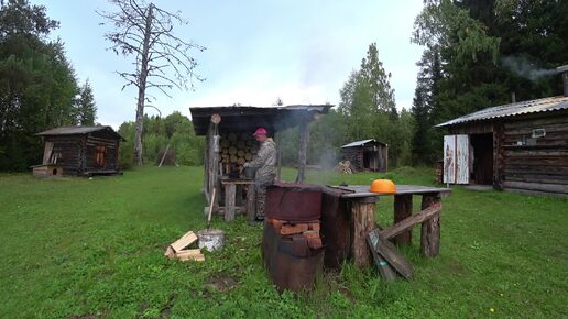 Иду с охоты, собираю волнушки. Попал на поляну с лисичками. 5 серия.