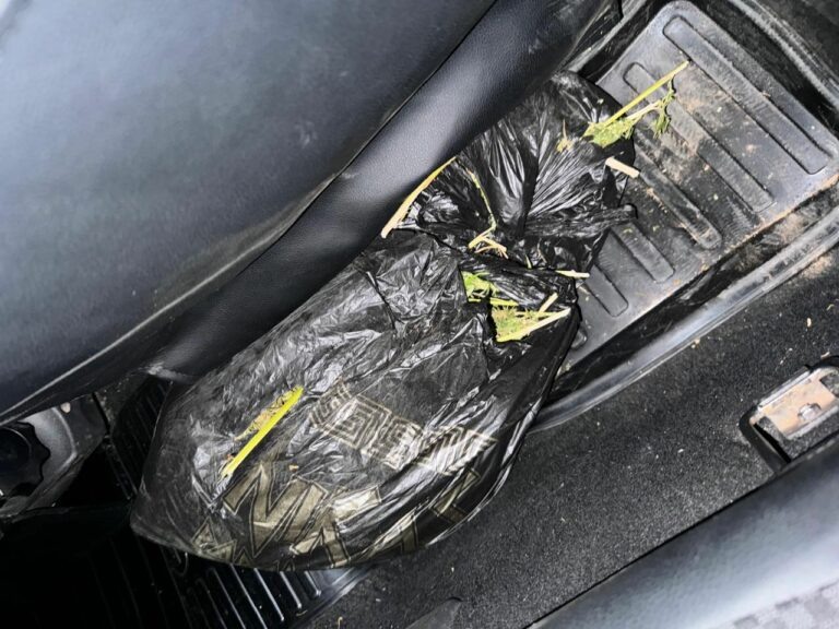    Сама собирала. 40-летняя любительница «травки» из Оренбурга может сесть на 10 лет Белов Михаил Александрович