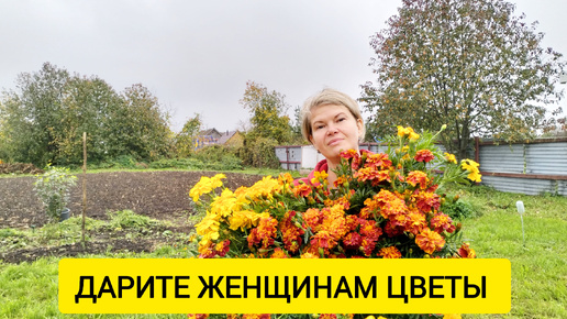 ЗАКРЫЛИ САДОВО-ОГОРОДНЫЙ СЕЗОН 2024, ЧТО ДАЛЬШЕ? / Деревенька на Урале / Выпуск 38