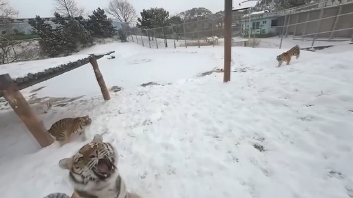 Красивые моменты снятые на дрон 😺 Подборка