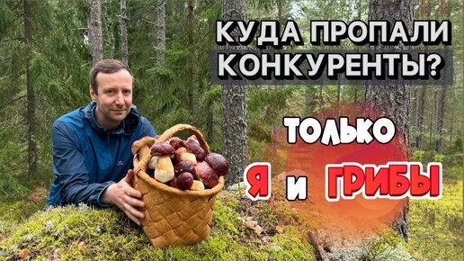 Скачать видео: БОРОВИКИ В ДОЖДЬ! Конкуренты испугались дождя?! Не встретил ни одного! Грибы 2024