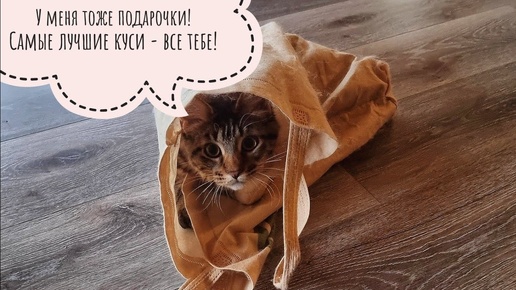 Немного деньрожденьевских подарочков и кошка Морошка в котомочке