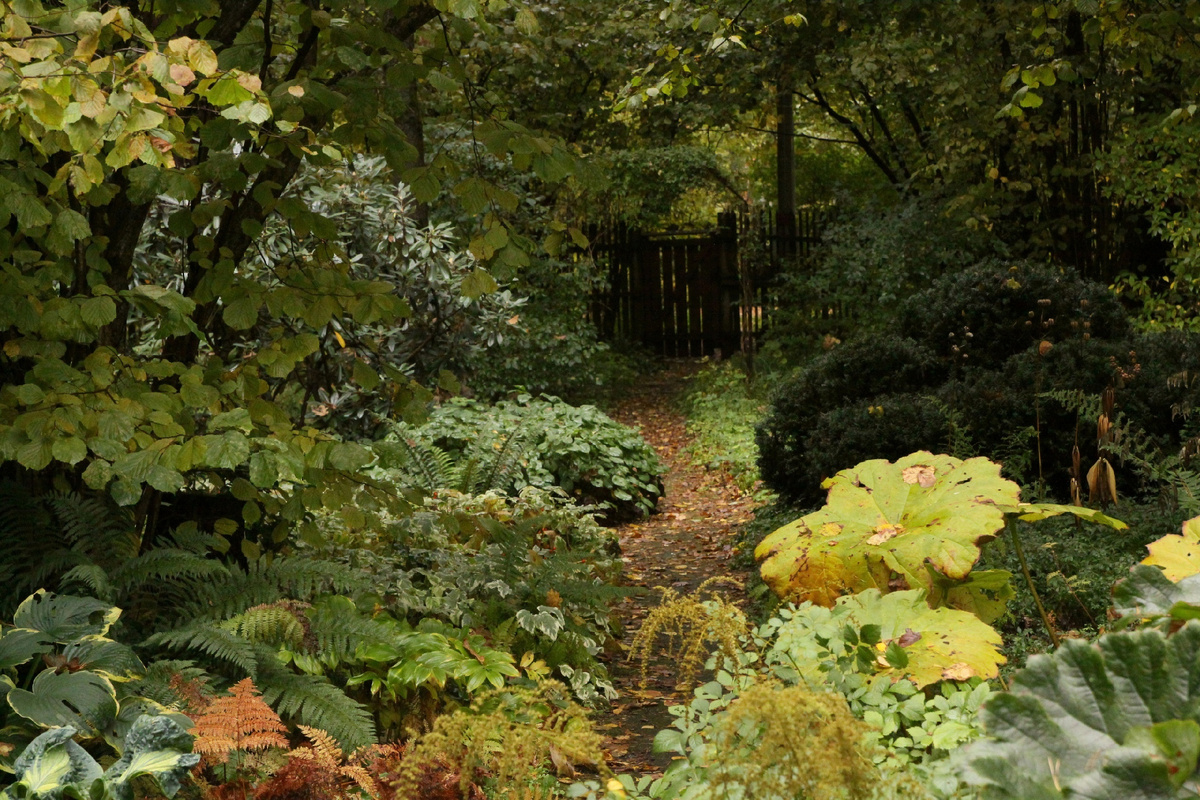 Сад и фото Елены Грошавень с ее страницы в ВК https://m.vk.com/club75597370