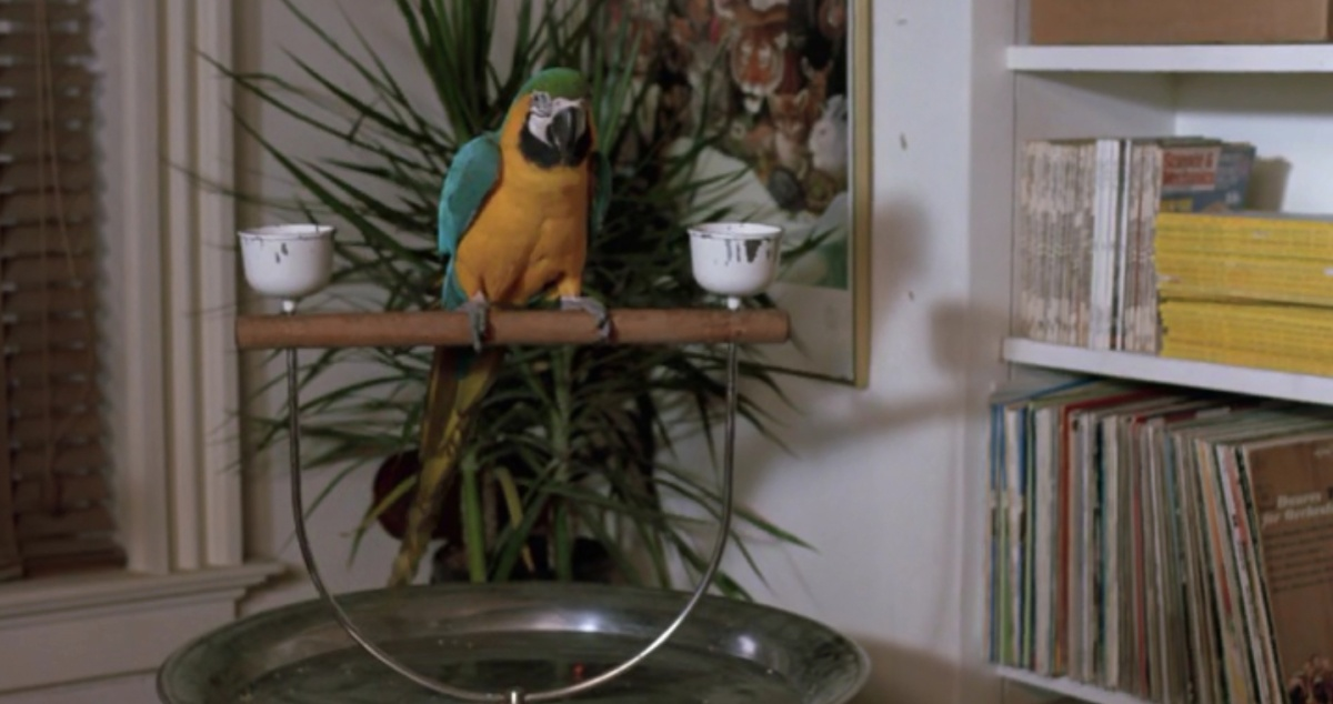 The January Man, 1989. Январский человек, реж. Пэт О’Коннор.