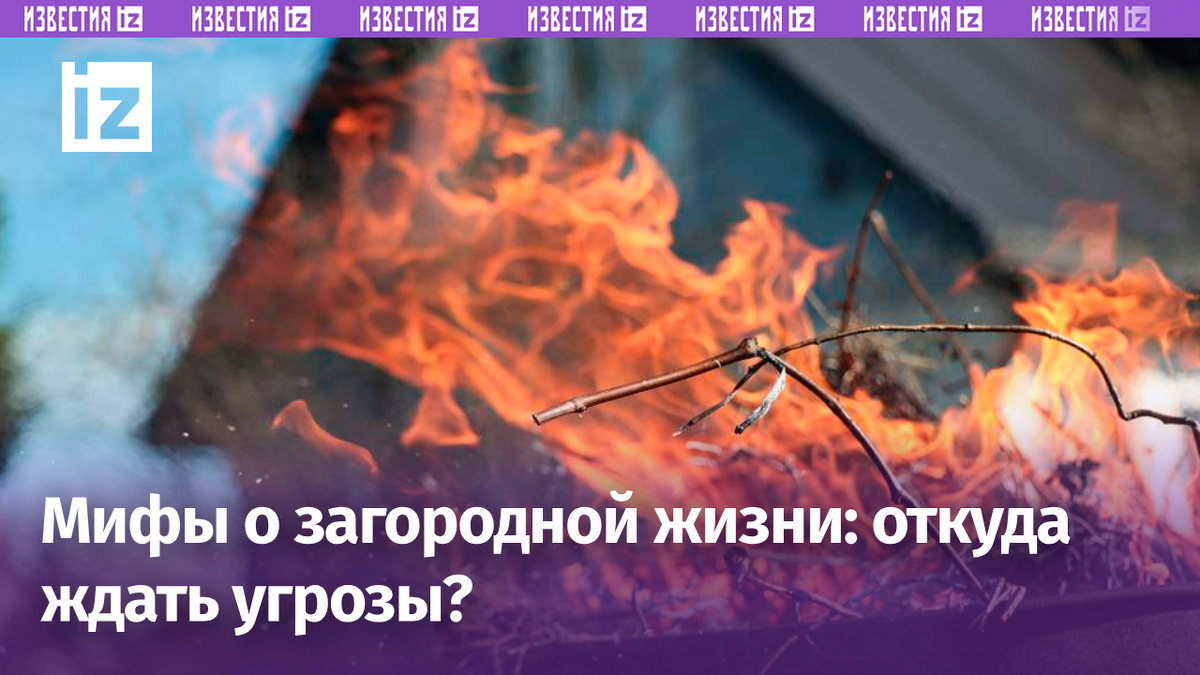 Фото: Global Look Press/Andrey Titov
